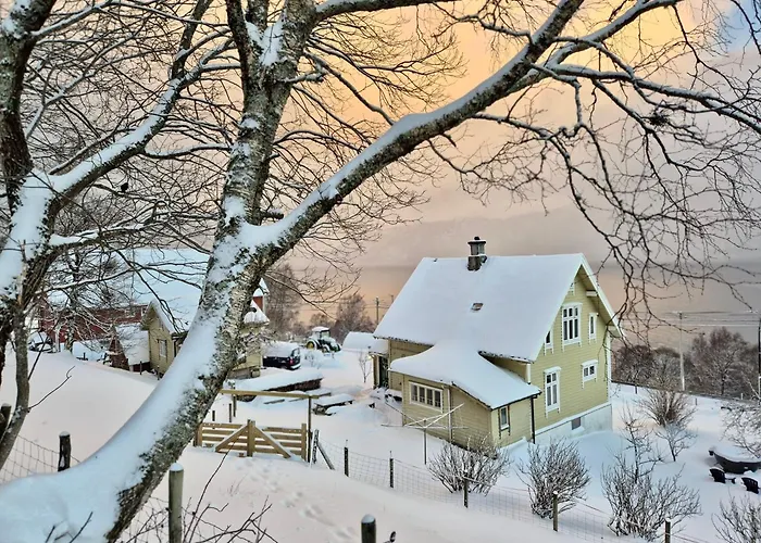 Cosy Chalet, 100m2 With Fjordview! Chaleter Lauvstad